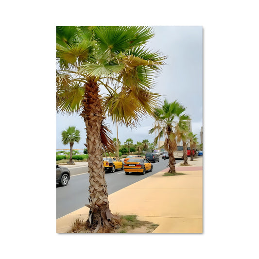 Poster Palmiers de Dakar