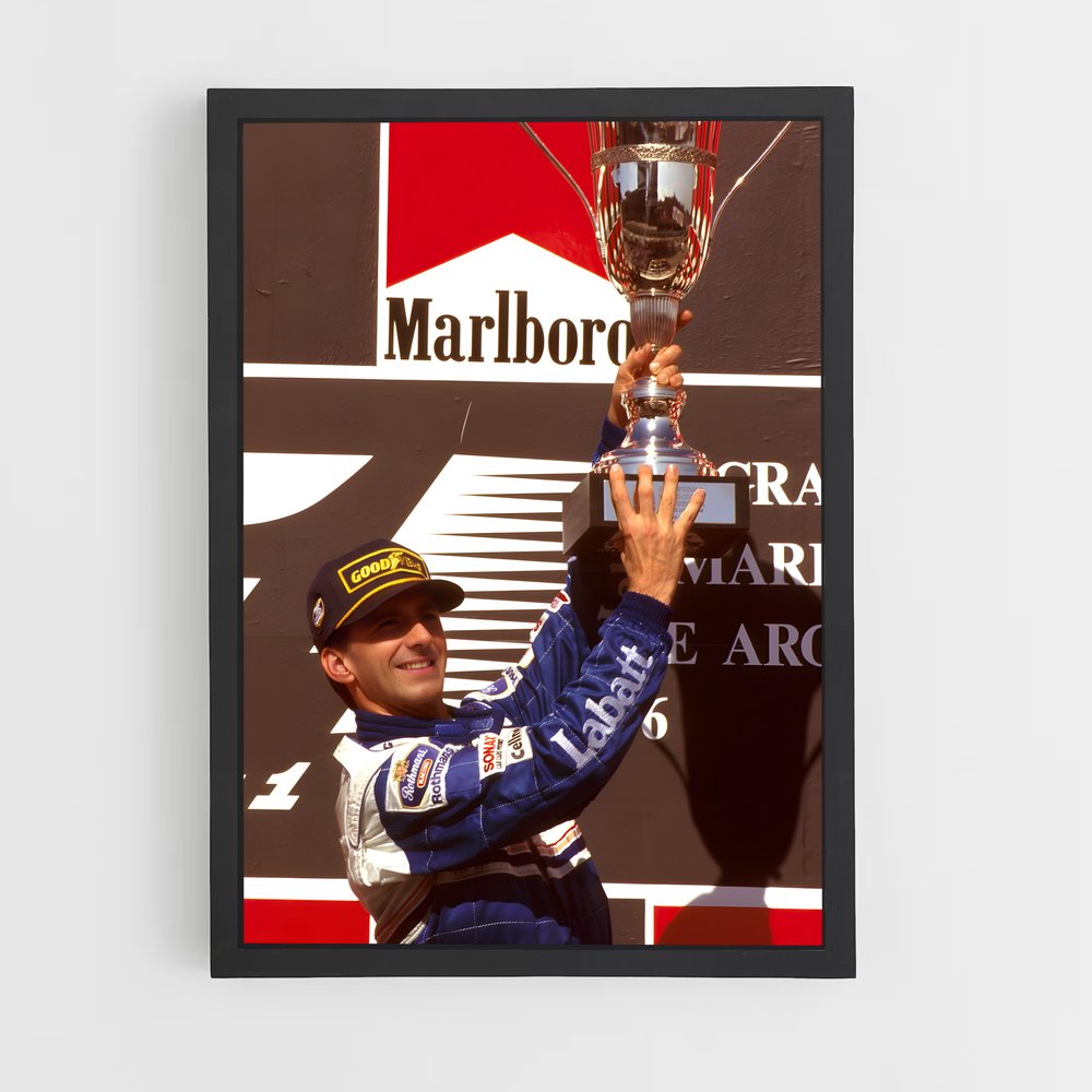 ap-damon hill-4 cadre Noir