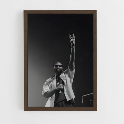 ap-damso-5 cadre Bois foncé