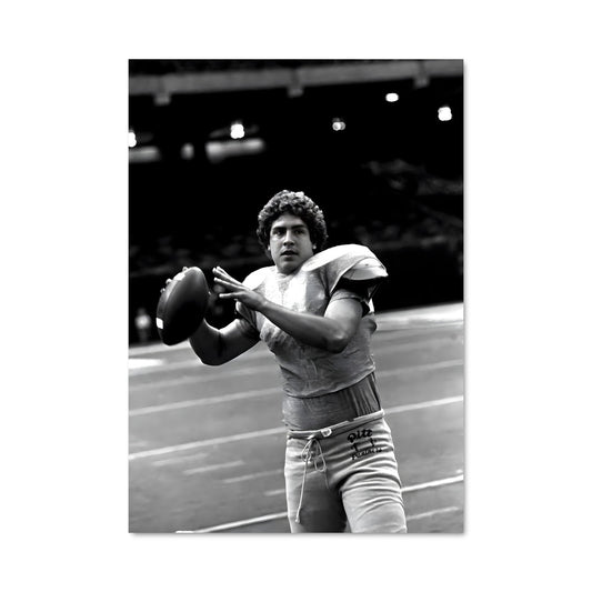 Poster Dan Marino en Action