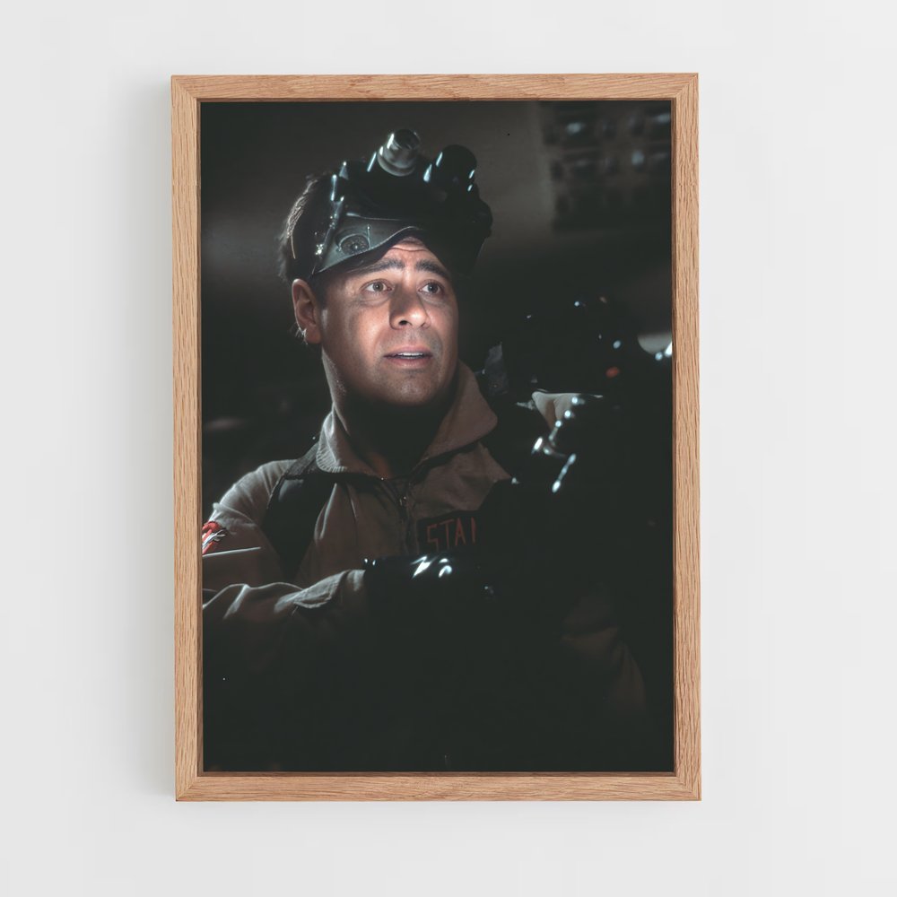 ap-dan aykroyd-1 cadre Bois clair