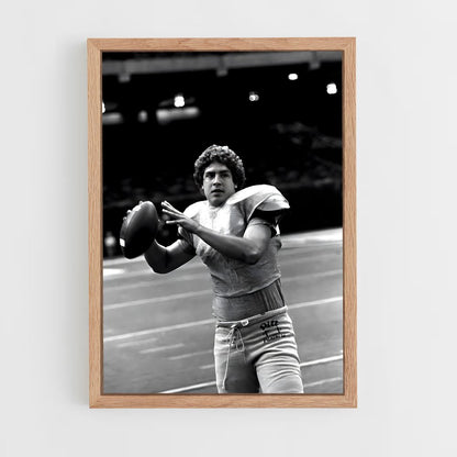 ap-dan marino-9 cadre Bois clair