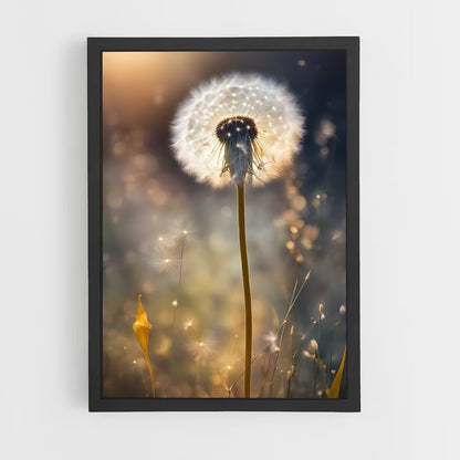 ap-dandelion-14 cadre Noir