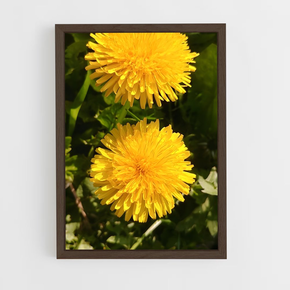 ap-dandelion-7 cadre Bois foncé