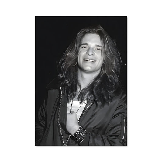 Poster David lee roth 56933