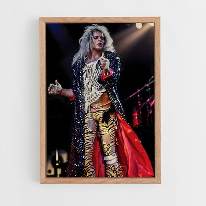 ap-david lee roth-2 cadre Bois clair