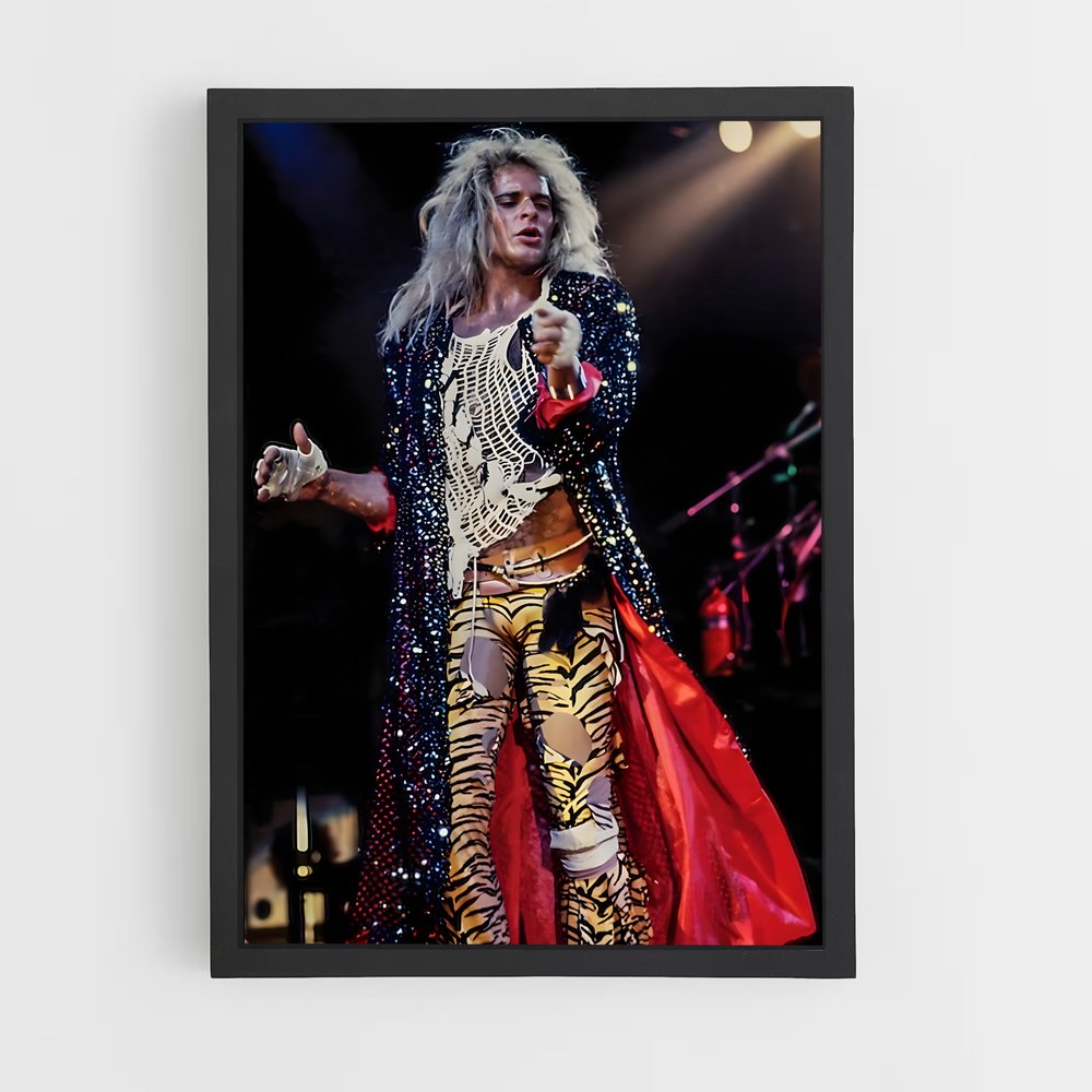 ap-david lee roth-2 cadre Noir