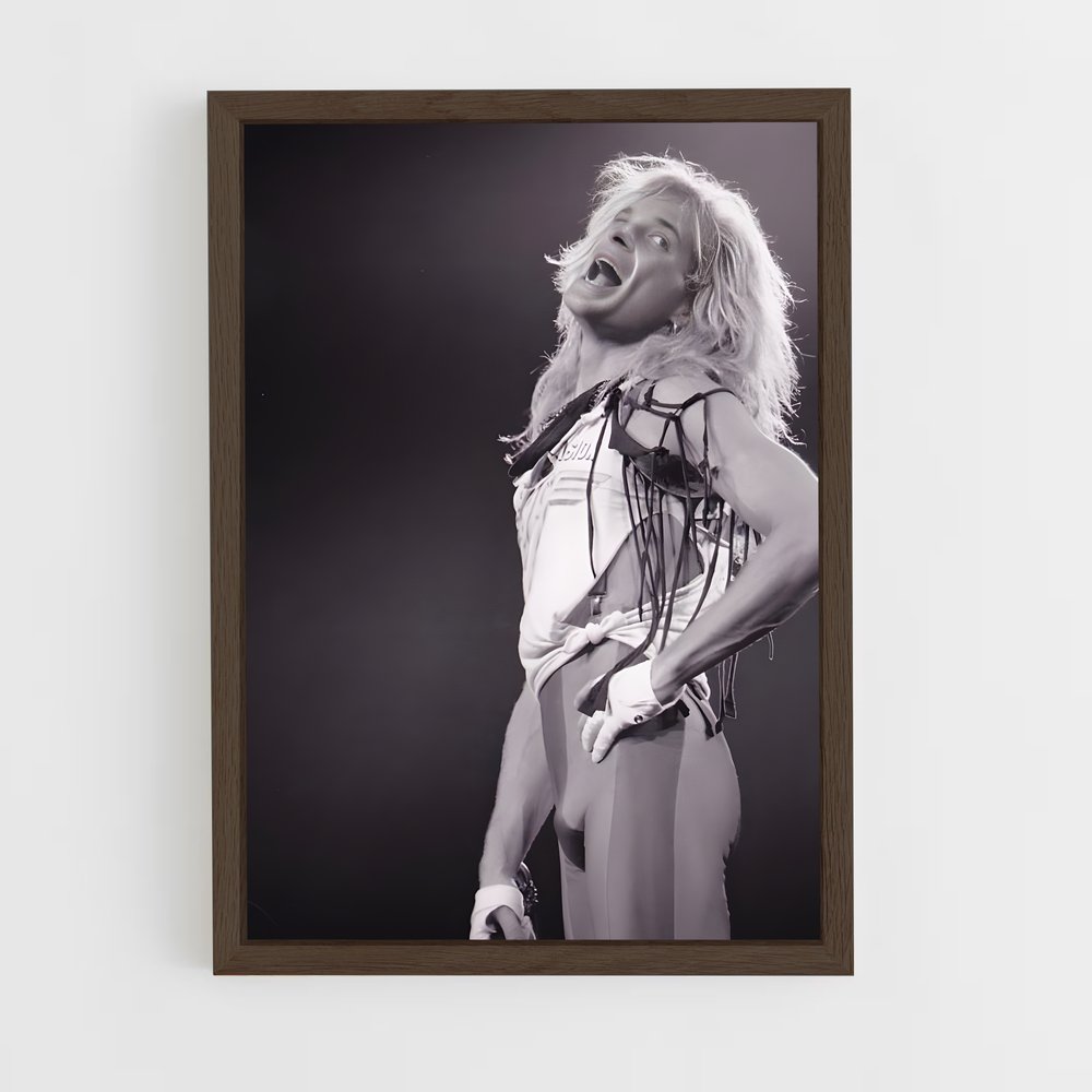 ap-david lee roth-5 cadre Bois foncé