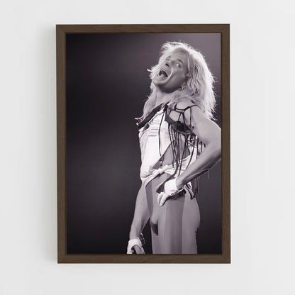 ap-david lee roth-5 cadre Bois foncé