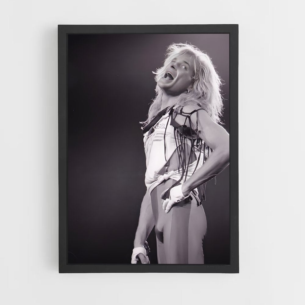 ap-david lee roth-5 cadre Noir