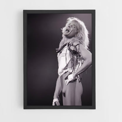 ap-david lee roth-5 cadre Noir