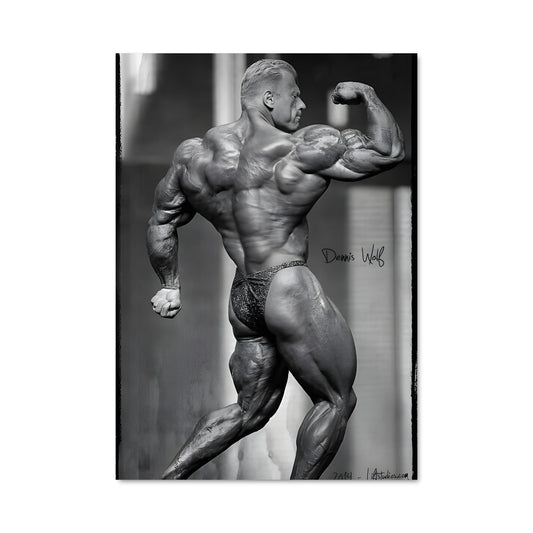 Poster Dennis wolf 64813