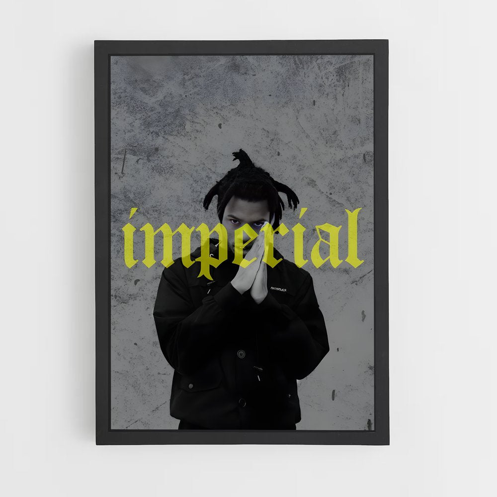 ap-denzel curry-7 cadre Noir