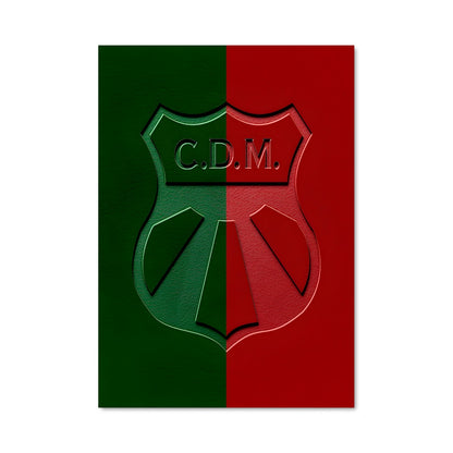 Poster Maldonado FC
