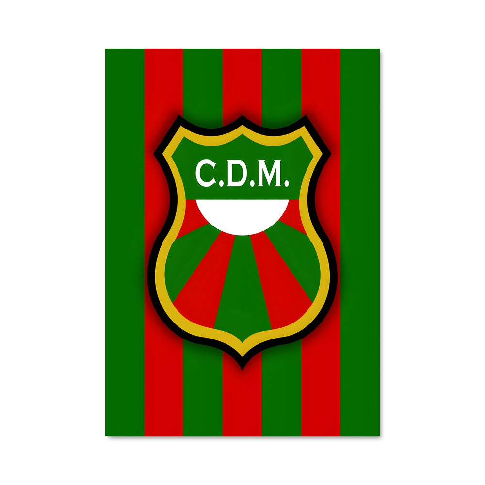 Poster Maldonado United