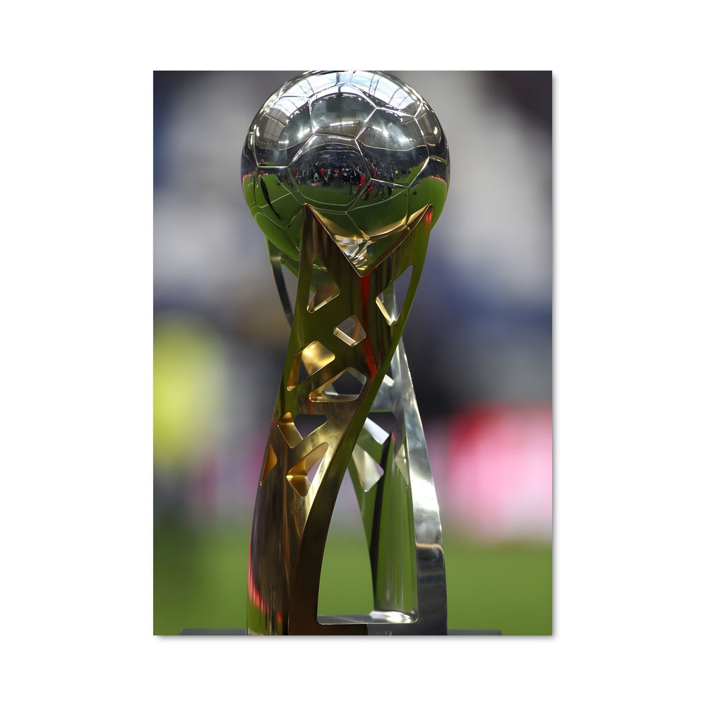 Poster Dfb pokal 70440