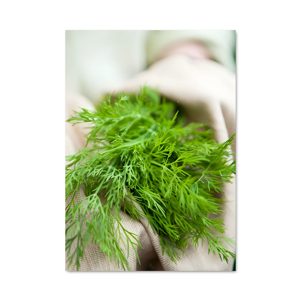 Poster Bouquet de Dills