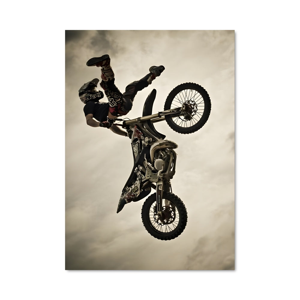 Poster Tricks de la Terre