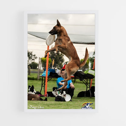 ap-disc dog world championships-1 cadre Blanc