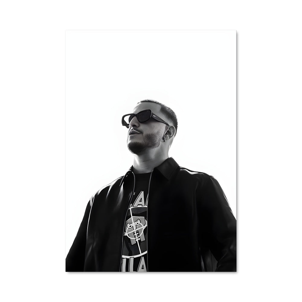 Poster Dj snake 45796