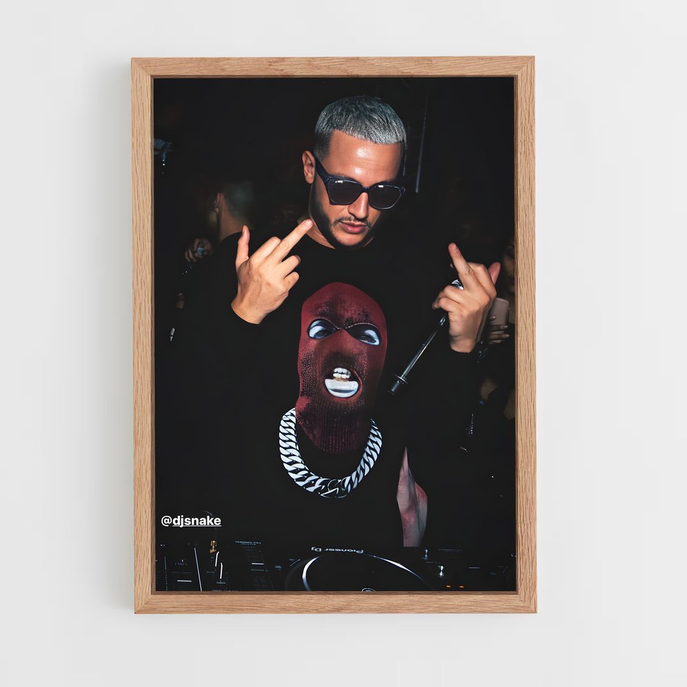 ap-dj snake-5 cadre Bois clair