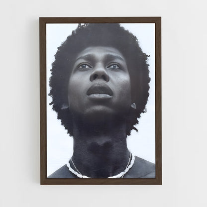 ap-djavan-1 cadre Bois foncé