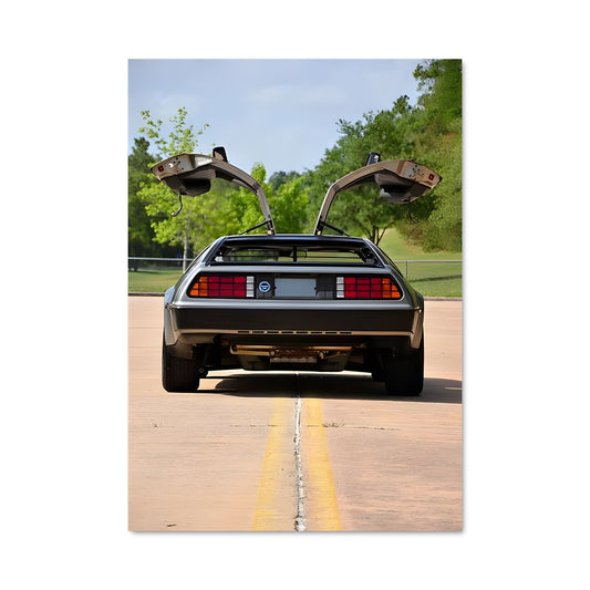 Poster Dmc-12 76857