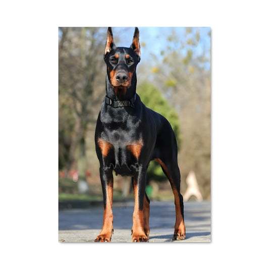 Poster Gardien Loyal