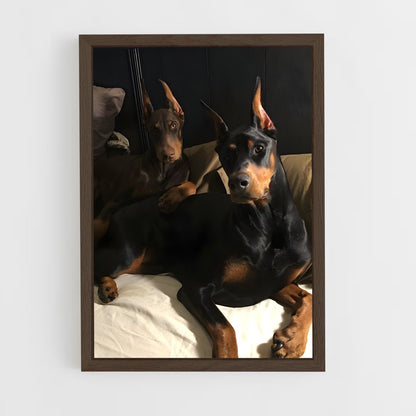 ap-doberman pinscher-1 cadre Bois foncé