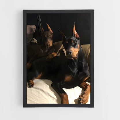 ap-doberman pinscher-1 cadre Noir