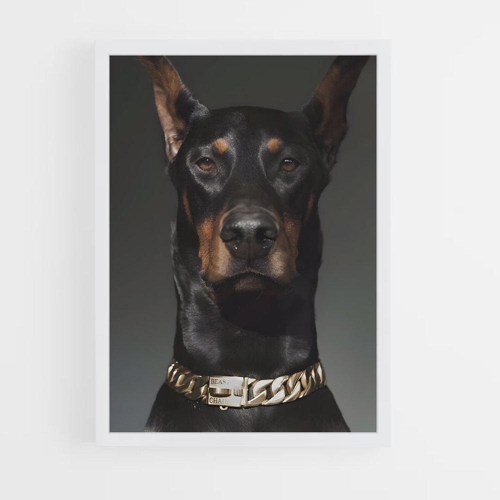 ap-doberman pinscher-5 cadre Blanc