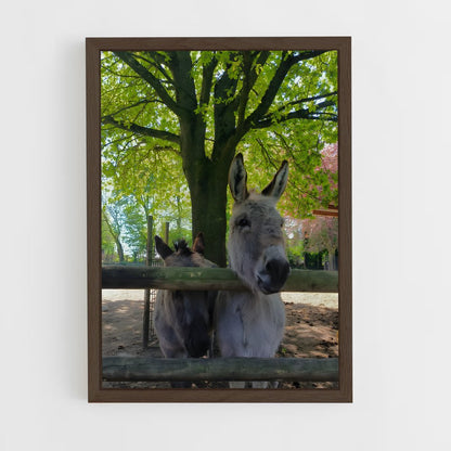 ap-donkey-12 cadre Bois foncé