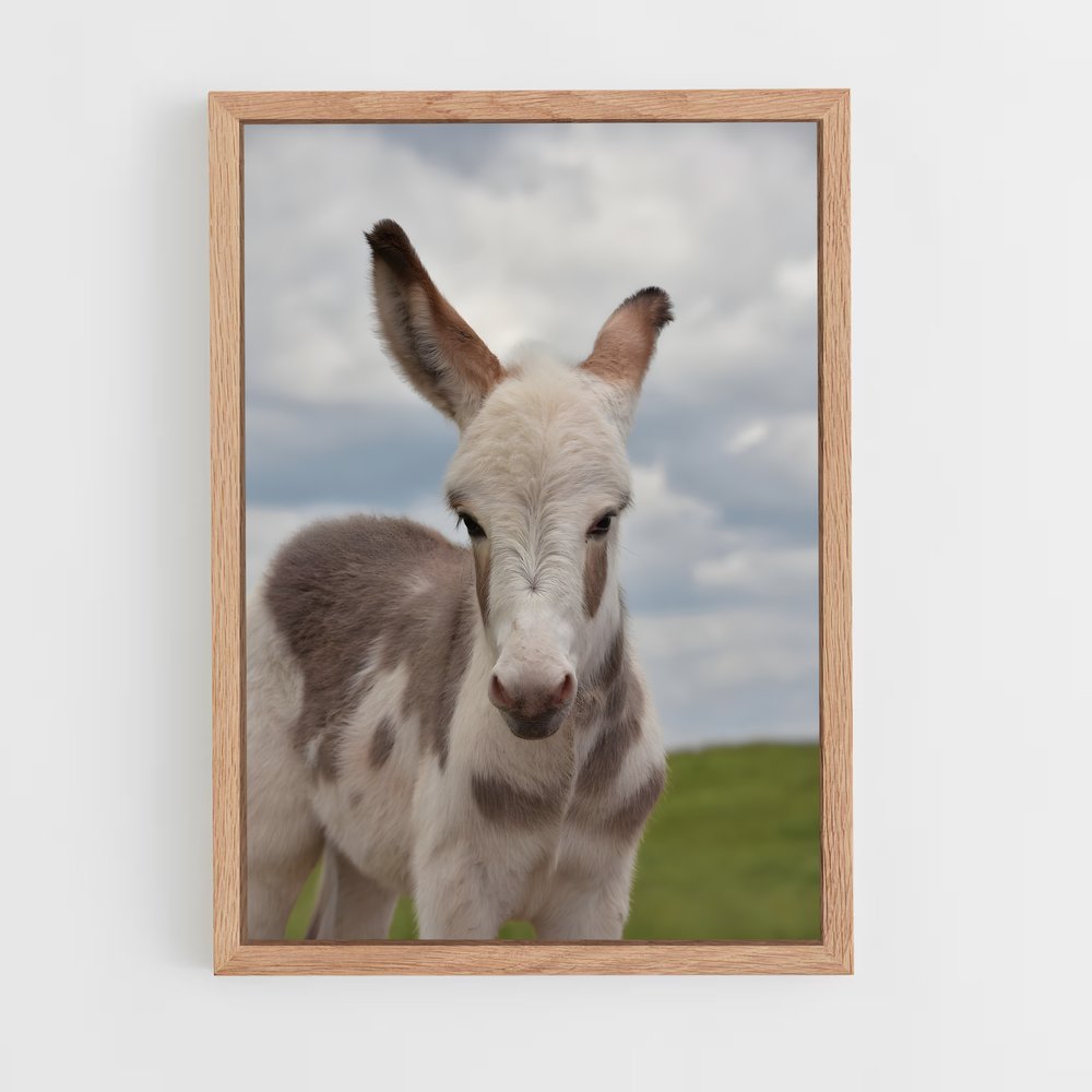 ap-donkey-14 cadre Bois clair