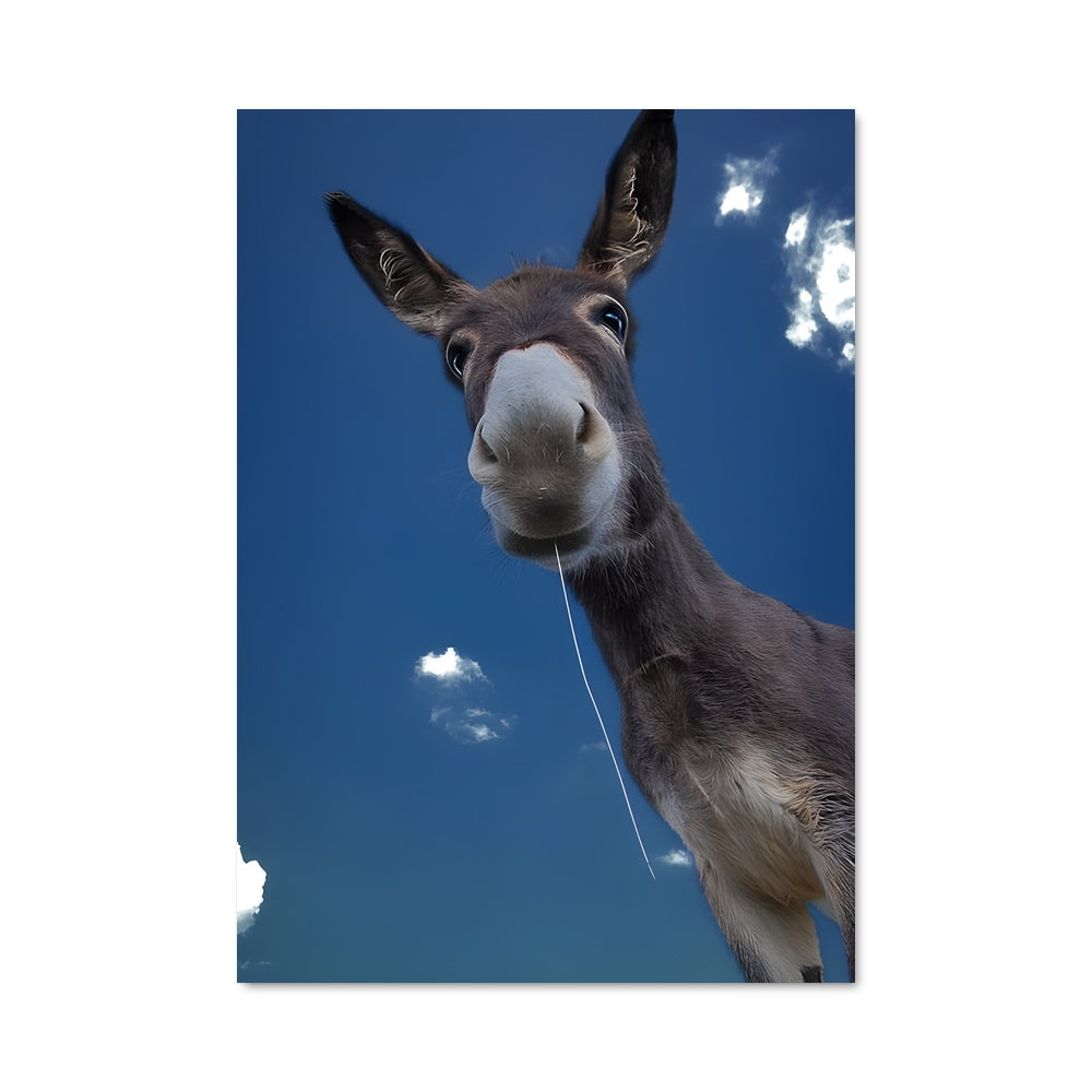 Poster Âne Enchaîné