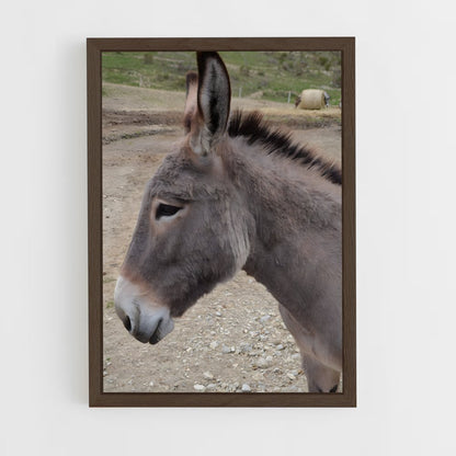 ap-donkey-9 cadre Bois foncé