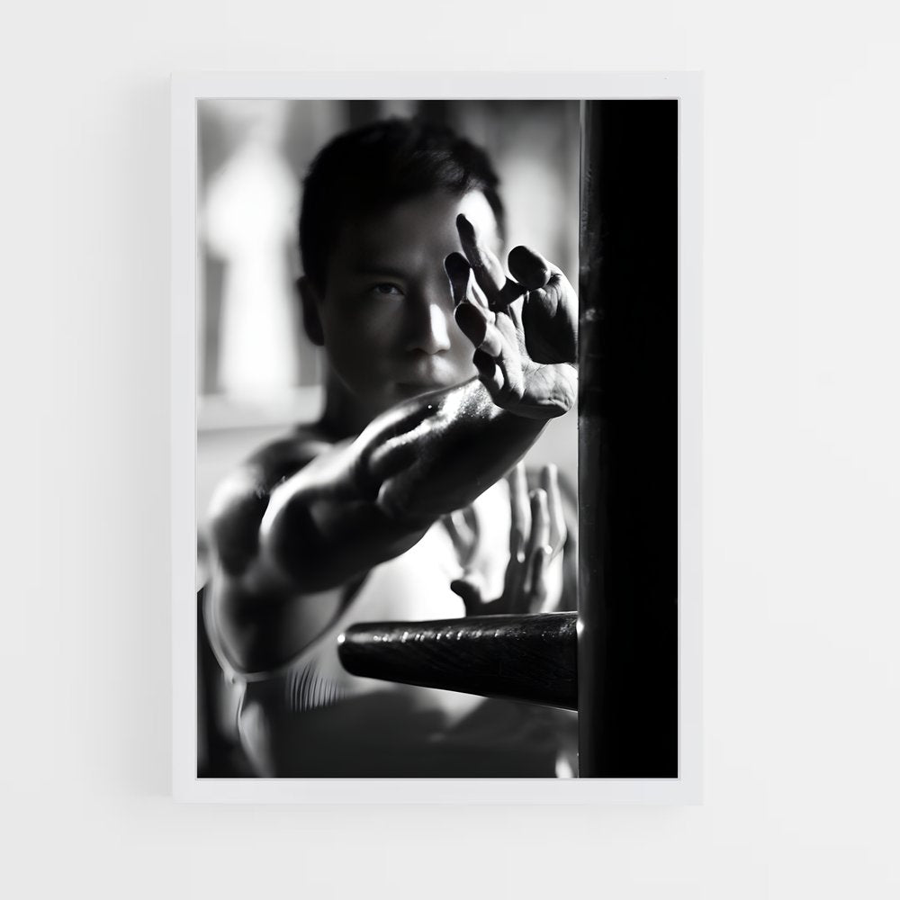 ap-donnie yen-8 cadre Blanc