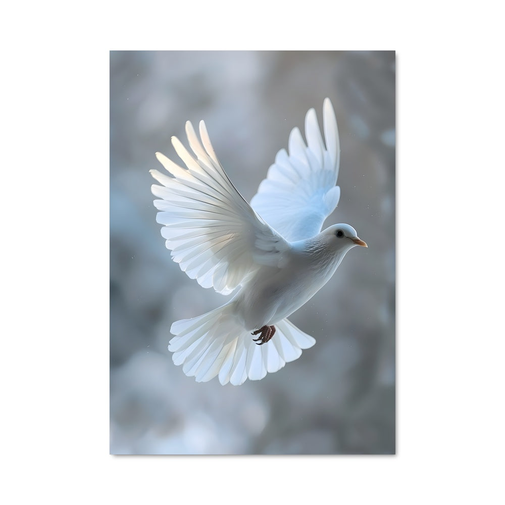 Poster L'Envol des Rêves