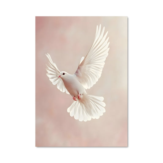 Poster Vol de Paix
