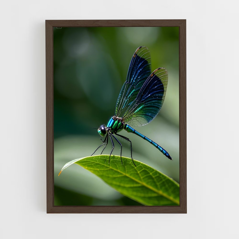 ap-dragonfly-3 cadre Bois foncé