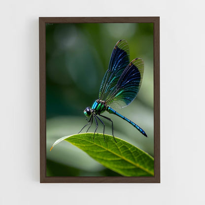 ap-dragonfly-3 cadre Bois foncé