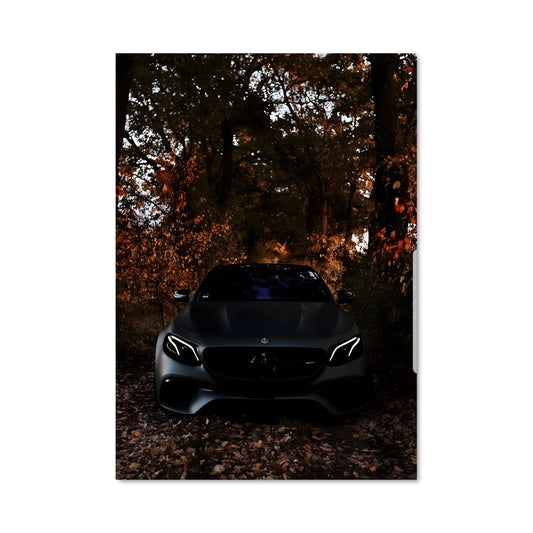 Poster Vision Écologique