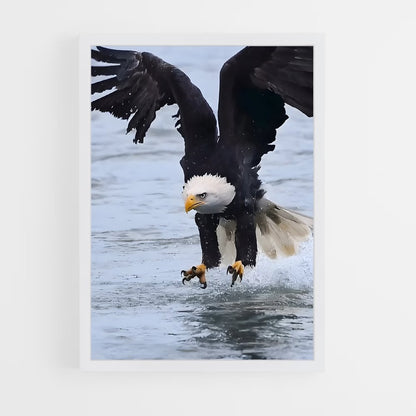 ap-eagle-3 cadre Blanc