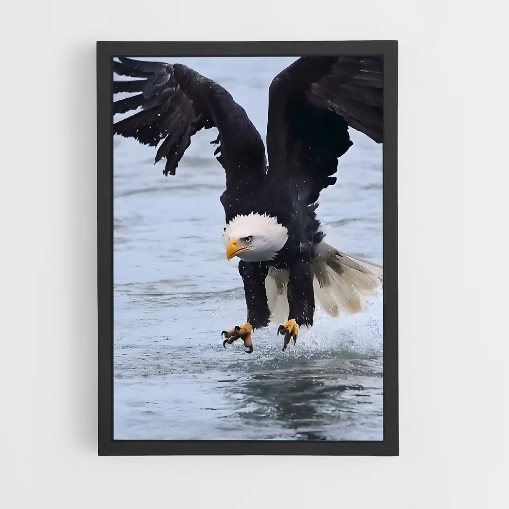 ap-eagle-3 cadre Noir