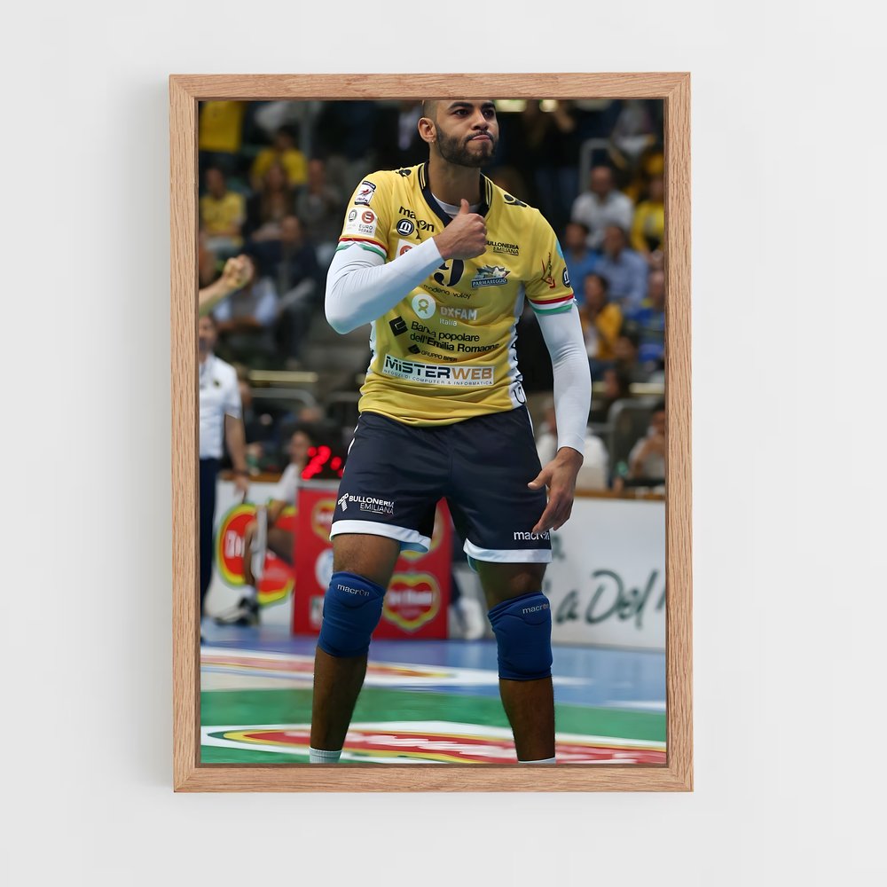 ap-earvin ngapeth-2 cadre Bois clair