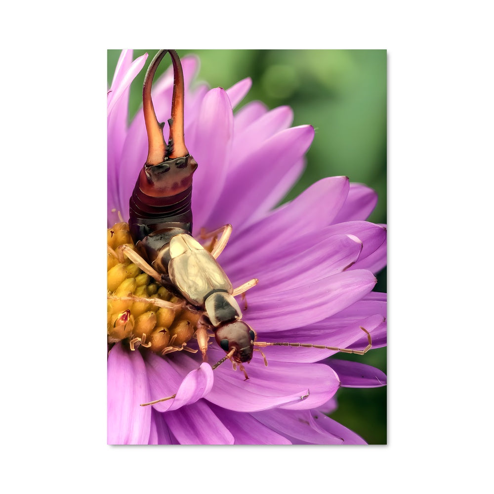 Poster Bug's Bloom