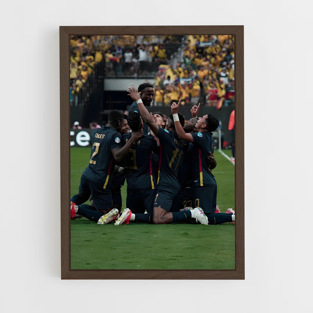 ap-ecuador national football team-1 cadre Bois foncé