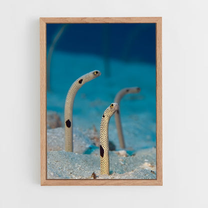 ap-eel-1 cadre Bois clair
