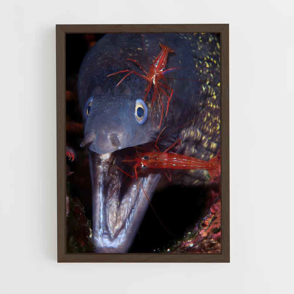 ap-eel-3 cadre Bois foncé