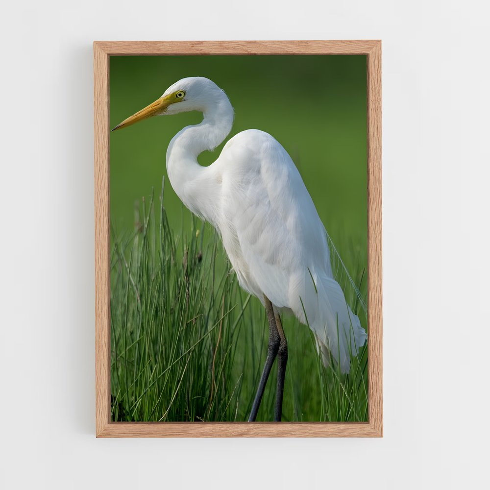 ap-egret-3 cadre Bois clair