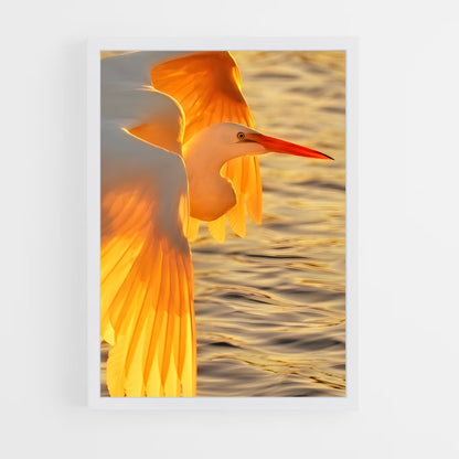 ap-egret-6 cadre Blanc